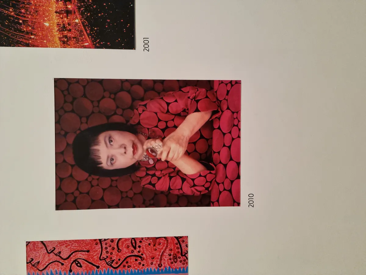 Yayoi Kusama Gallery Image 14